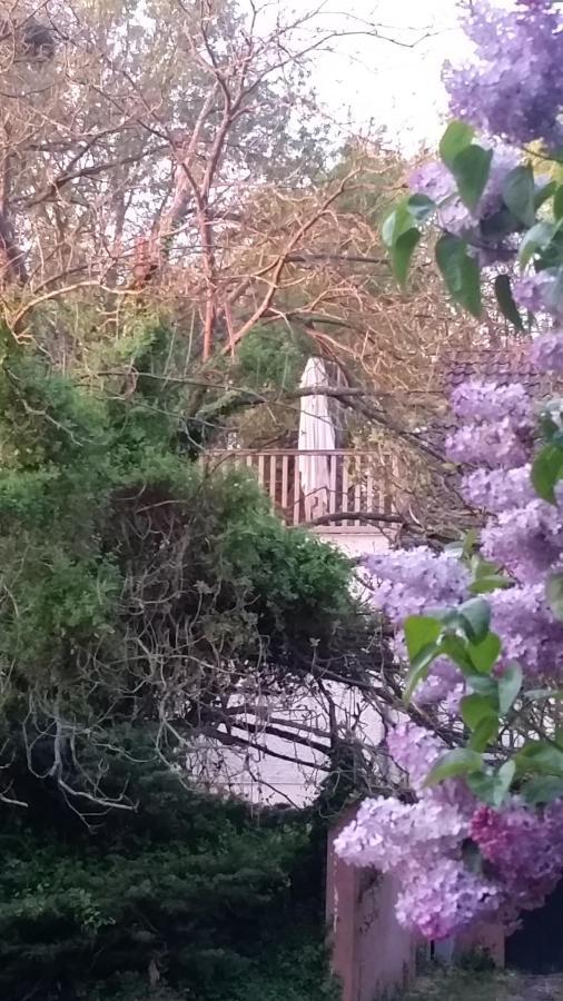 Apartament Aux Nobles Acacias Épagne-Épagnette Zewnętrze zdjęcie