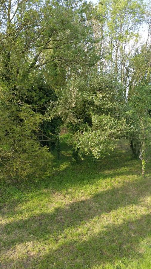 Apartament Aux Nobles Acacias Épagne-Épagnette Zewnętrze zdjęcie