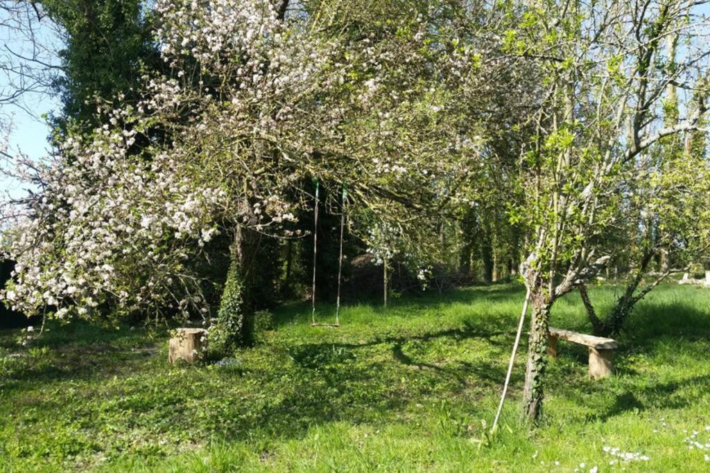 Apartament Aux Nobles Acacias Épagne-Épagnette Zewnętrze zdjęcie