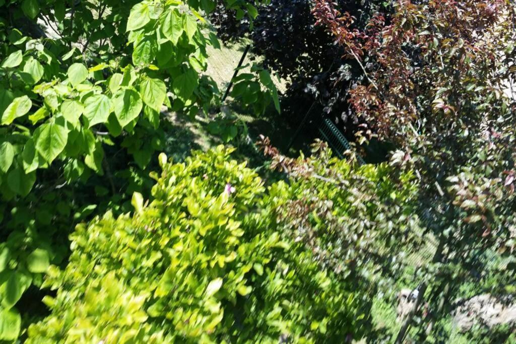 Apartament Aux Nobles Acacias Épagne-Épagnette Zewnętrze zdjęcie